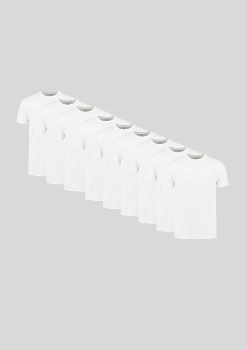 King - 10 pack anti-odor and sweat